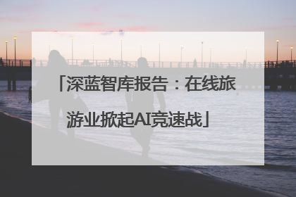 深蓝智库报告：在线旅游业掀起AI竞速战