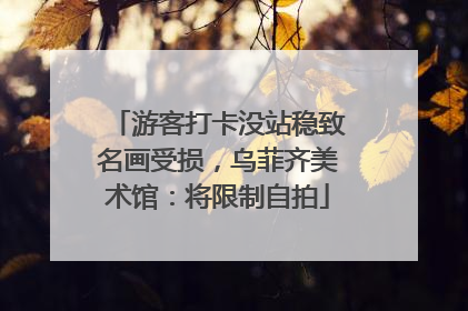 游客打卡没站稳致名画受损，乌菲齐美术馆：将限制自拍