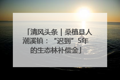 清风头条｜桑植县人潮溪镇：“迟到”5年的生态林补偿金