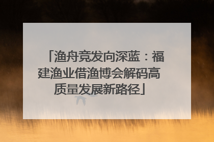 渔舟竞发向深蓝：福建渔业借渔博会解码高质量发展新路径