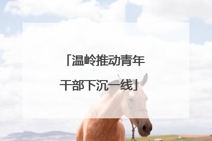 温岭推动青年干部下沉一线