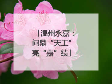 温州永嘉：问鼎“天工”亮“嘉”绩