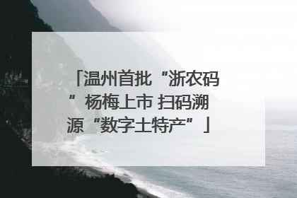 温州首批“浙农码”杨梅上市 扫码溯源“数字土特产”