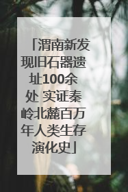 渭南新发现旧石器遗址100余处 实证秦岭北麓百万年人类生存演化史