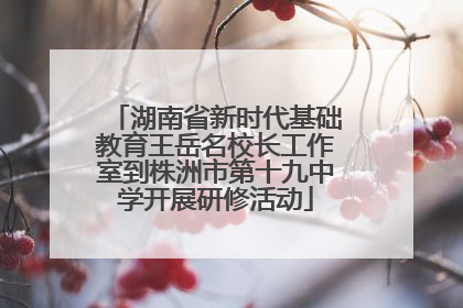 湖南省新时代基础教育王岳名校长工作室到株洲市第十九中学开展研修活动