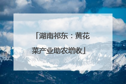 湖南祁东：黄花菜产业助农增收