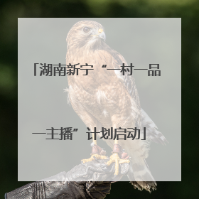 湖南新宁“一村一品一主播”计划启动