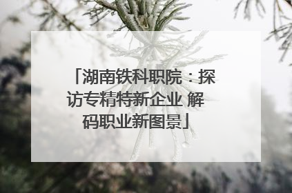 湖南铁科职院：探访专精特新企业 解码职业新图景