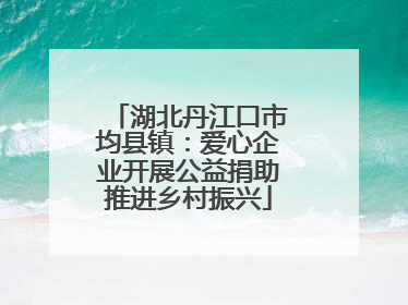 湖北丹江口市均县镇：爱心企业开展公益捐助推进乡村振兴