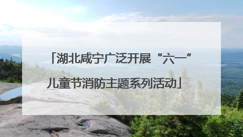 湖北咸宁广泛开展“六一”儿童节消防主题系列活动