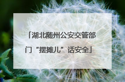 湖北随州公安交管部门“摆摊儿”话安全