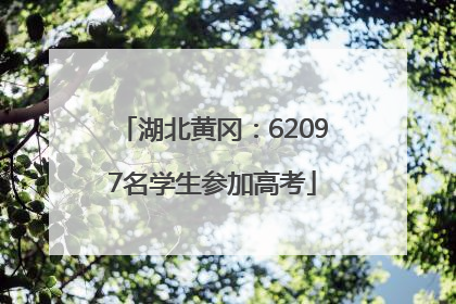 湖北黄冈：62097名学生参加高考