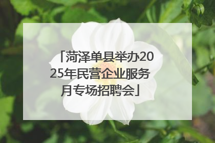 菏泽单县举办2025年民营企业服务月专场招聘会
