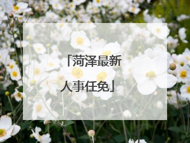 菏泽最新人事任免