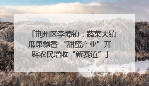 荆州区李埠镇：蔬菜大镇瓜果飘香 “甜蜜产业”开辟农民增收“新赛道”