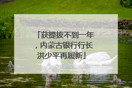获提拔不到一年，内蒙古银行行长洪少平再履新