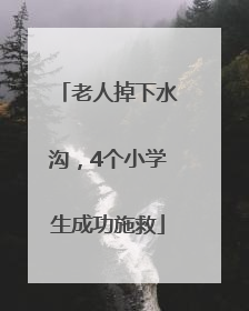 老人掉下水沟，4个小学生成功施救