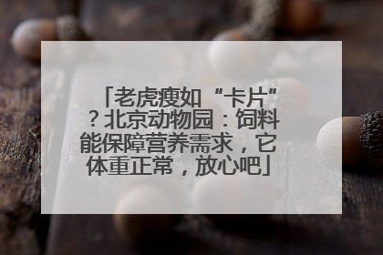 老虎瘦如“卡片”？北京动物园：饲料能保障营养需求，它体重正常，放心吧
