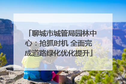 聊城市城管局园林中心：抢抓时机 全面完成道路绿化优化提升