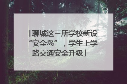 聊城这三所学校新设“安全岛”，学生上学路交通安全升级