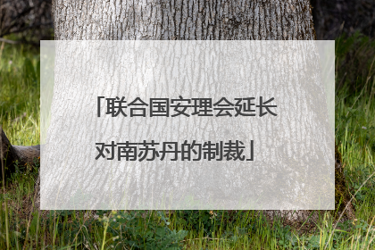联合国安理会延长对南苏丹的制裁