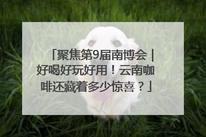 聚焦第9届南博会｜好喝好玩好用！云南咖啡还藏着多少惊喜？