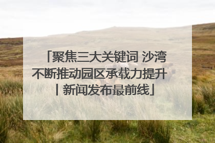 聚焦三大关键词 沙湾不断推动园区承载力提升丨新闻发布最前线