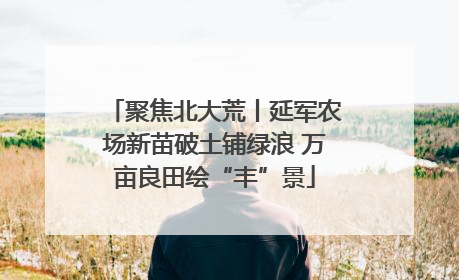 聚焦北大荒丨延军农场新苗破土铺绿浪 万亩良田绘“丰”景