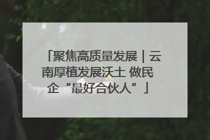 聚焦高质量发展｜云南厚植发展沃土 做民企“最好合伙人”