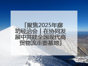 聚焦2025年廊坊经洽会丨在协同发展中共建全国现代商贸物流重要基地