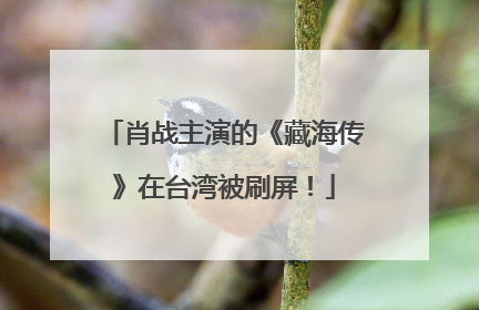 肖战主演的《藏海传》在台湾被刷屏！