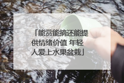 能赏能摘还能提供情绪价值 年轻人爱上水果盆栽
