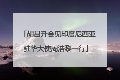 胡昌升会见印度尼西亚驻华大使周浩黎一行