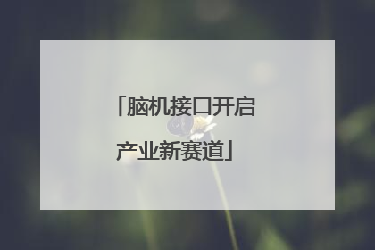 脑机接口开启产业新赛道