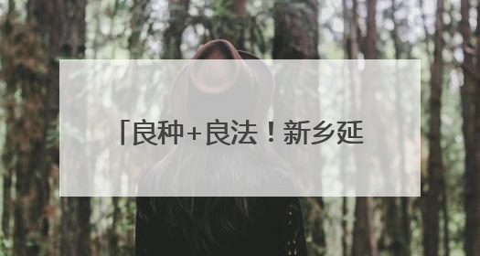 良种+良法！新乡延津县试验田小麦刷新黄淮麦区高产记录