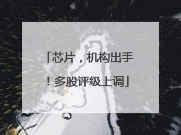 芯片，机构出手！多股评级上调