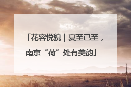 花容悦貌｜夏至已至，南京“荷”处有美韵