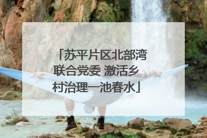 苏平片区北部湾联合党委 激活乡村治理一池春水