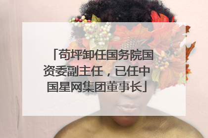 苟坪卸任国务院国资委副主任，已任中国星网集团董事长