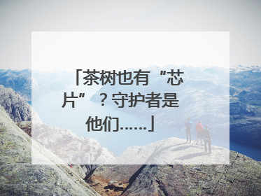 茶树也有“芯片”？守护者是他们……