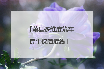 萧县多维度筑牢民生保障底线