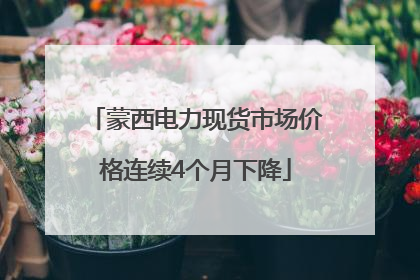 蒙西电力现货市场价格连续4个月下降