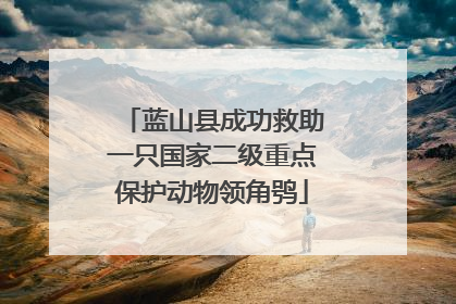 蓝山县成功救助一只国家二级重点保护动物领角鸮