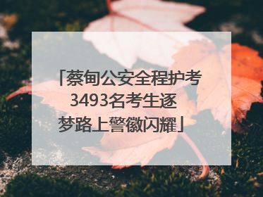 蔡甸公安全程护考 3493名考生逐梦路上警徽闪耀