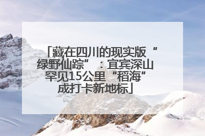 藏在四川的现实版“绿野仙踪”：宜宾深山罕见15公里“稻海”成打卡新地标