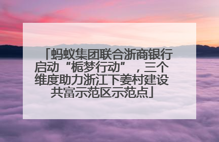 蚂蚁集团联合浙商银行启动“栀梦行动”，三个维度助力浙江下姜村建设共富示范区示范点