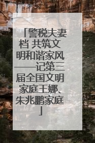 警税夫妻档 共筑文明和谐家风——记第三届全国文明家庭王娜、朱兆鹏家庭