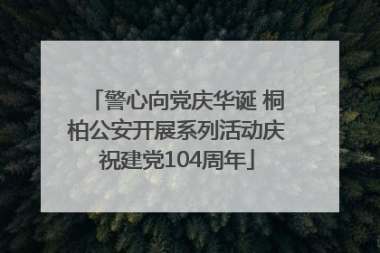警心向党庆华诞 桐柏公安开展系列活动庆祝建党104周年