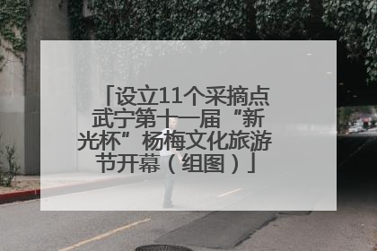 设立11个采摘点 武宁第十一届“新光杯”杨梅文化旅游节开幕（组图）