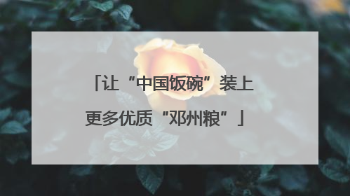 让“中国饭碗”装上更多优质“邓州粮”